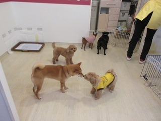 IMG_8157.jpg