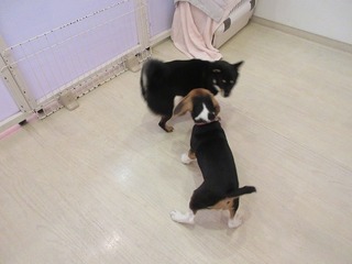 IMG_8160.jpg