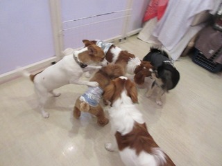 IMG_8177.jpg