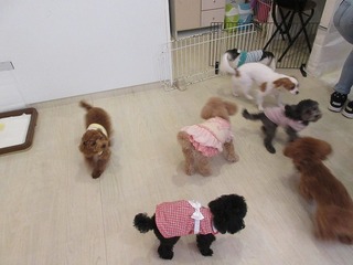IMG_8177.jpg