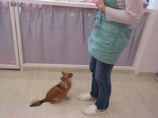 IMG_8183.jpg