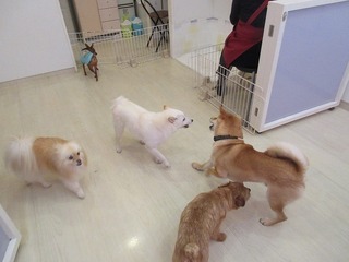 IMG_8188.jpg