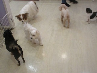 IMG_8194.jpg