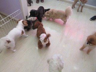 IMG_8252.jpg