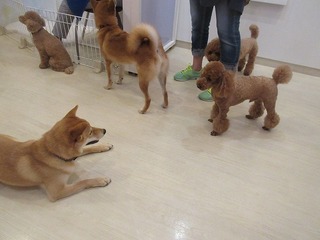 IMG_8260.jpg