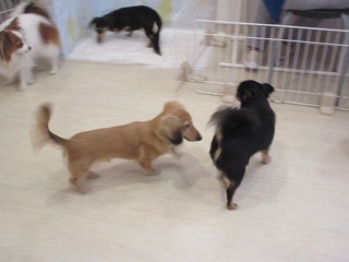 IMG_8266.jpg