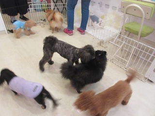 IMG_8268.jpg