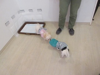 IMG_8290.jpg