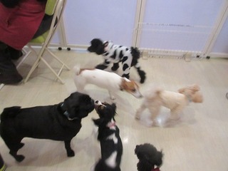 IMG_8315.jpg