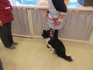 IMG_8316.jpg