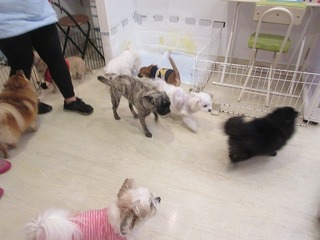 IMG_8317.jpg