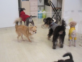 IMG_8325.jpg