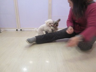 IMG_8328.jpg