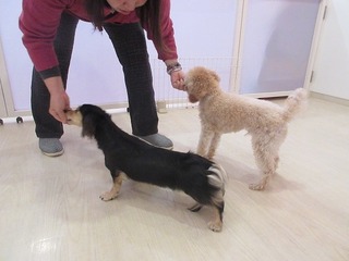 IMG_8336.jpg