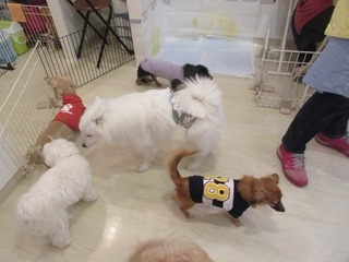 IMG_8408.jpg