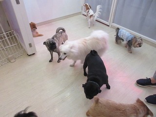 IMG_8424.jpg