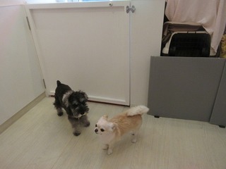 IMG_8425.jpg