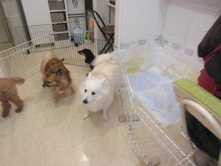 IMG_8437.jpg