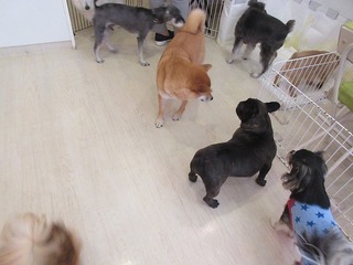 IMG_8460.jpg