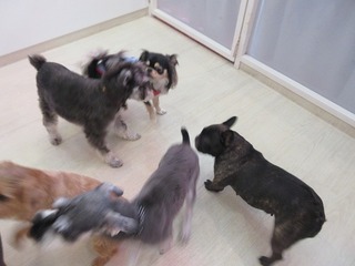 IMG_8472.jpg