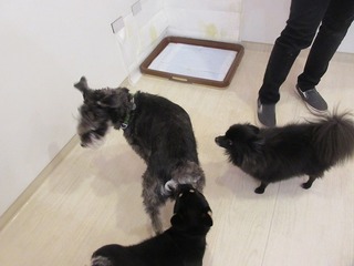 IMG_8483.jpg