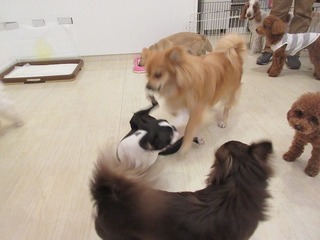 IMG_8483.jpg