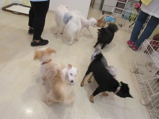 IMG_8496.jpg