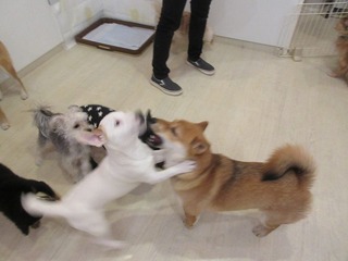 IMG_8497.jpg