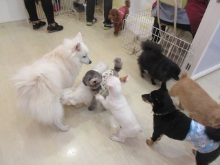 IMG_8501.jpg