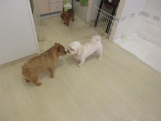 IMG_8527.jpg