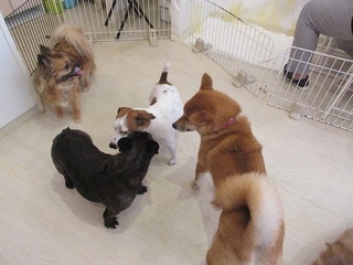 IMG_8535.jpg