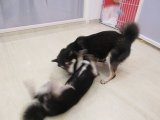 IMG_8566.jpg
