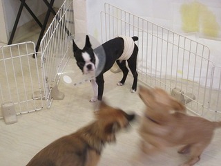 IMG_8573.jpg