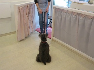 IMG_8583.jpg
