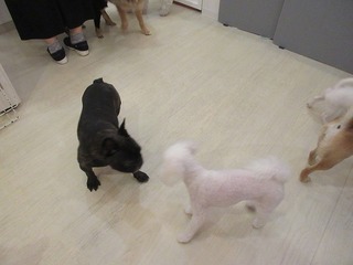 IMG_8598.jpg
