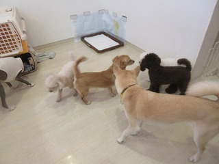 IMG_8638.jpg