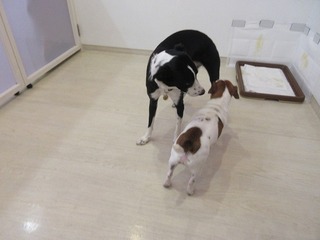 IMG_8670.jpg