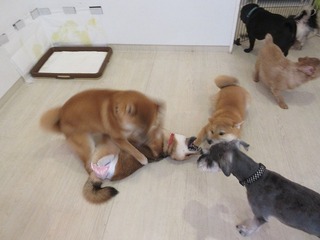 IMG_8673.jpg