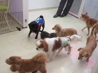 IMG_8683.jpg
