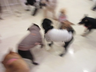 IMG_8687.jpg