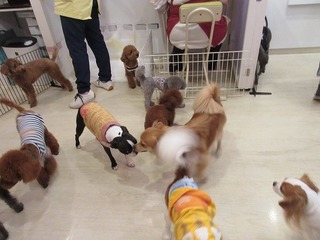 IMG_8692.jpg