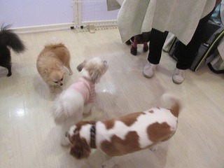 IMG_8709.jpg