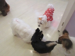 IMG_8712.jpg