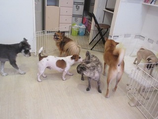 IMG_8744.jpg