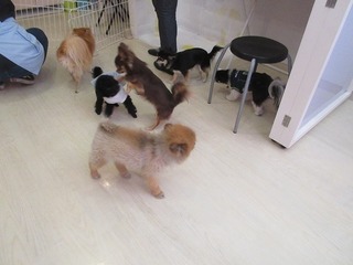 IMG_8749.jpg
