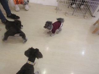 IMG_8770.jpg