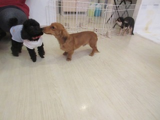 IMG_8787.jpg