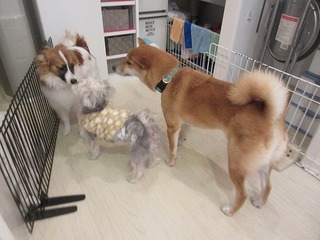IMG_8798.jpg