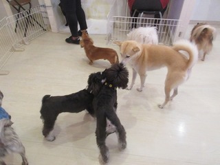 IMG_8798.jpg