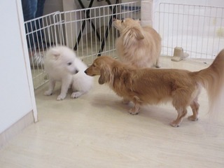 IMG_8820.jpg